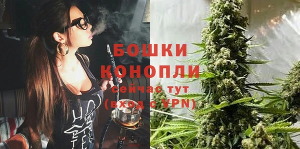 ПСИЛОЦИБИНОВЫЕ ГРИБЫ Апатиты