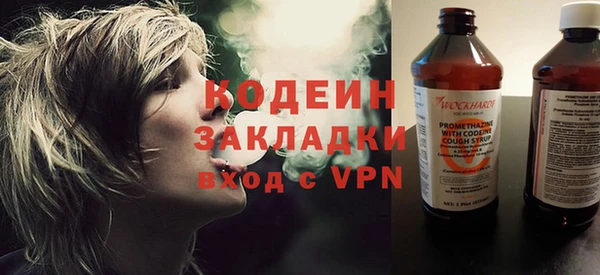 прущие грибы Анжеро-Судженск